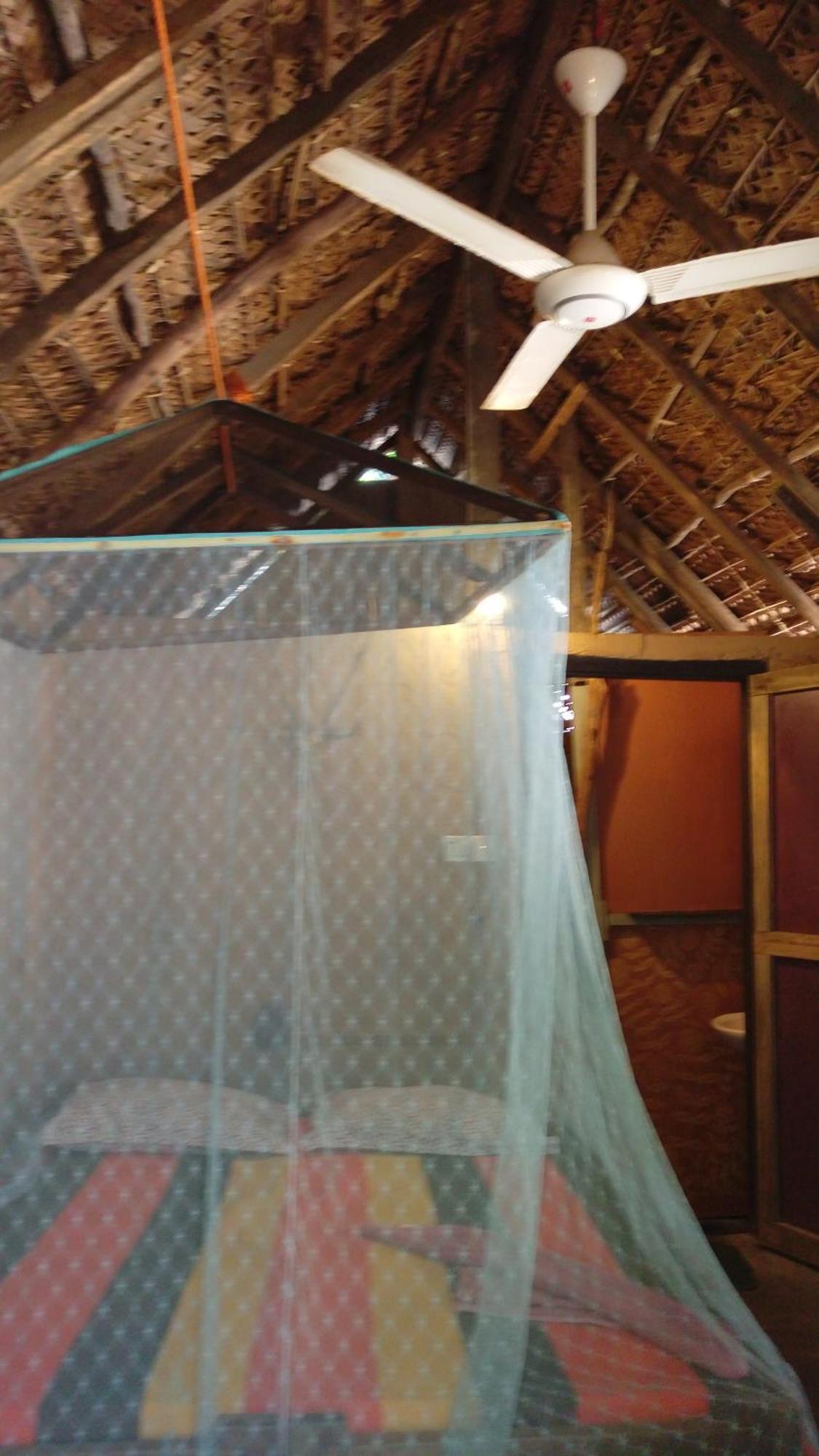 Beach Hut Аругам-Бей Номер фото